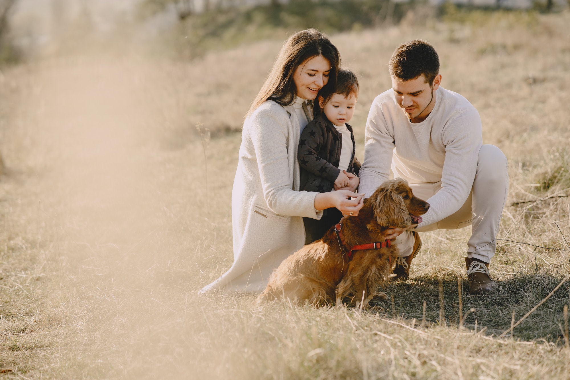 Stylish family walking on a spring field